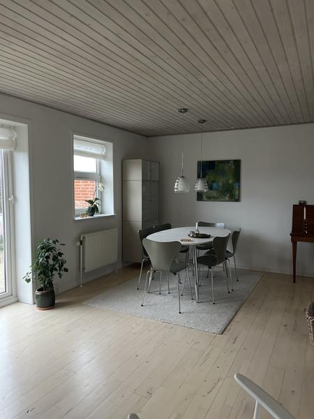 Opsætning af filt og maling af vægge i stue