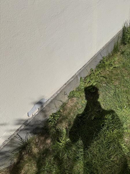 Facaderenovering og fornyelse af udestue