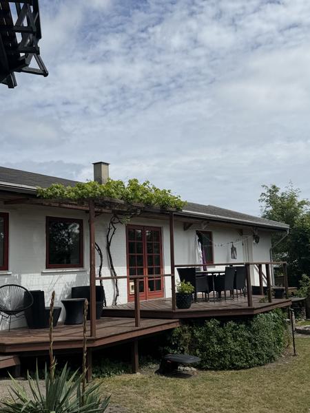 Nyt tag med spær og ovenlysvinduer