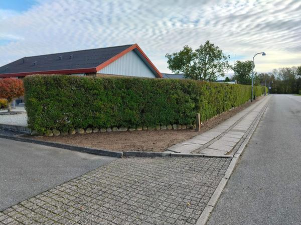 Udskiftning af asbesttag med eternittag
