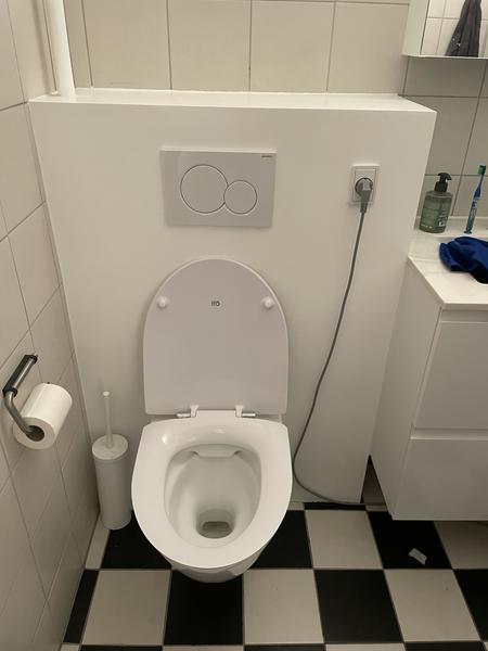 Udskiftning af toiletskål