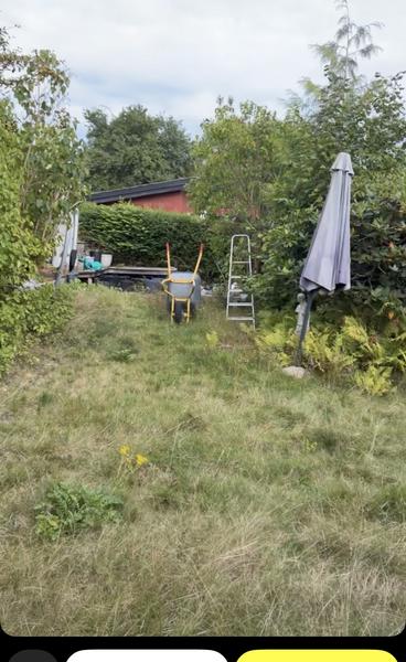 Rydning og nulstilling af kolonihavegrund
