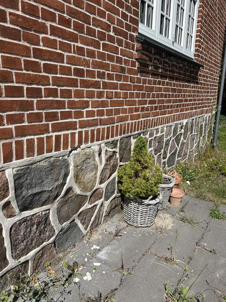 Udbedring af vægge, sokkel og fundament