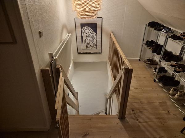 Renovering af hus