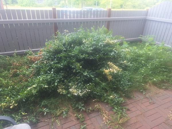 Etablering af terrasse med belægningssten