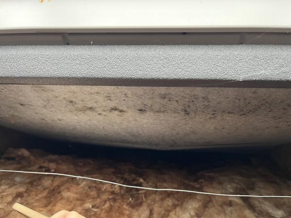 Tjek og udbedring af skimmelsvamp på undertag