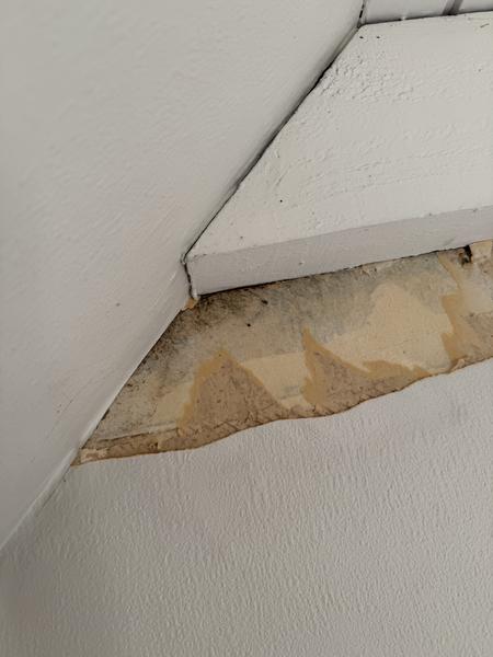 Inspektion for skimmelsvamp