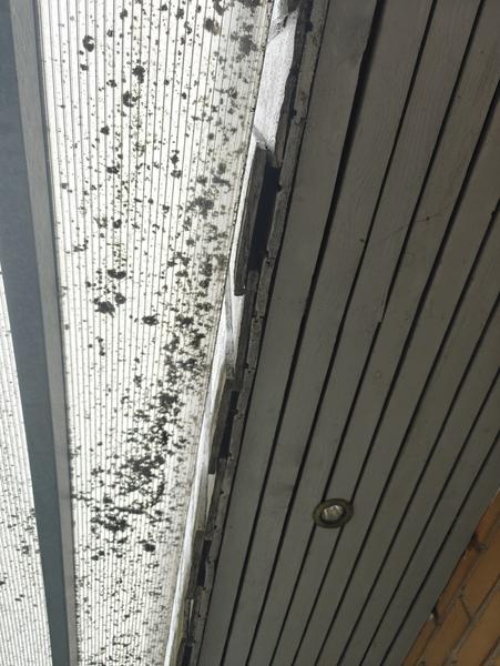 Udskiftning af gavlender og maling af tagudhæng