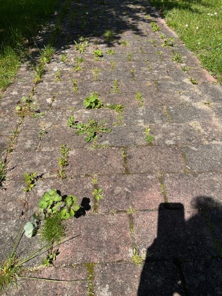 Rensning og imprægnering af herregårdssten