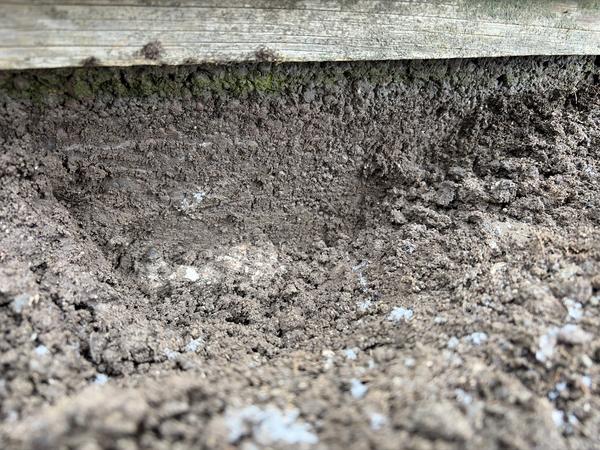 Nedrivning og montering af udestue