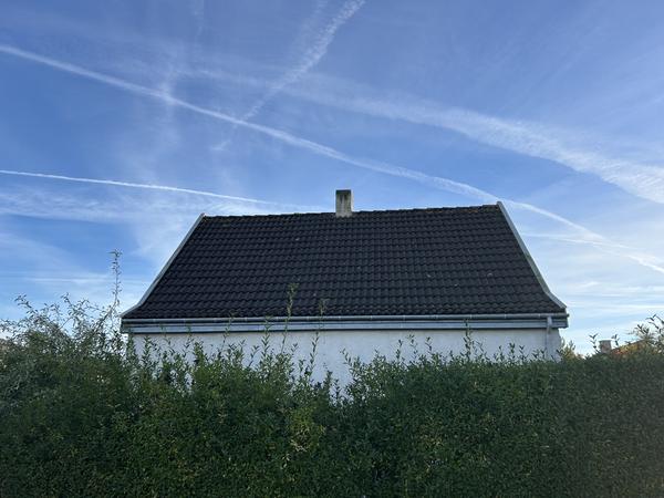 Nyt tag med spær, ovenlysvinduer og tagrender