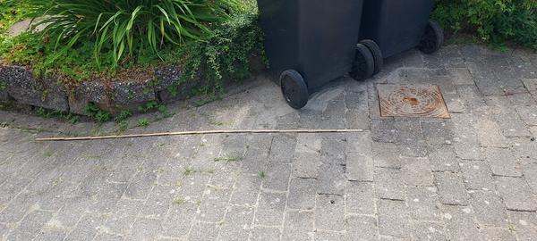 Tømning og tilslutning af septiktank