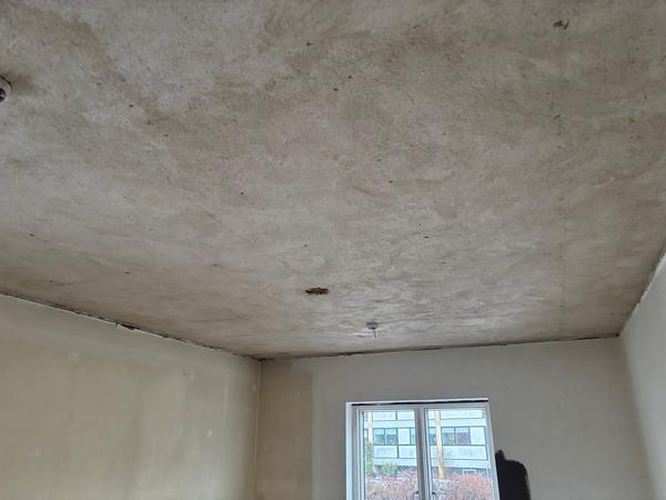 Spartel, filt og maling af loft