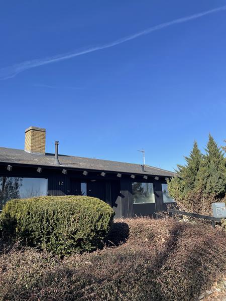 Rens og maling af tag m. asbest