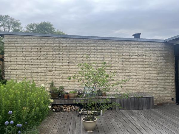 Omfugning af mur