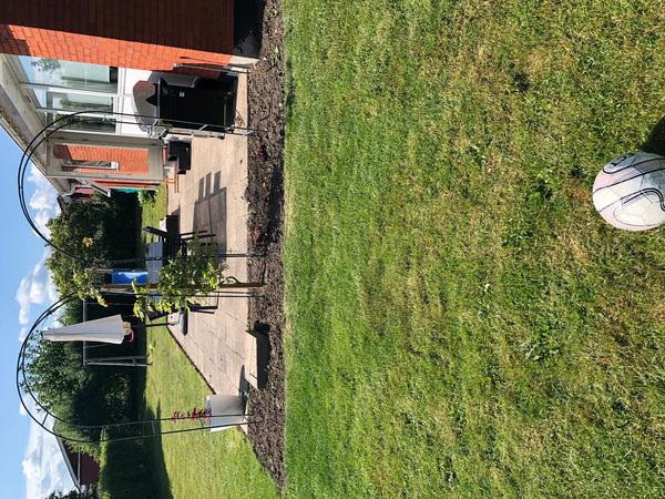 Prisoverslag - Etablering af træterrasse