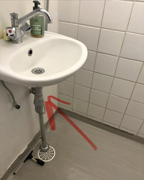Skimmelsvamp i væg