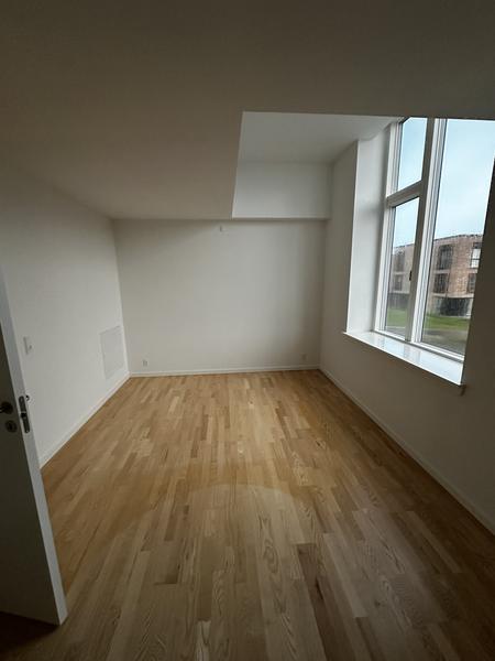 Maling af vægge i hus