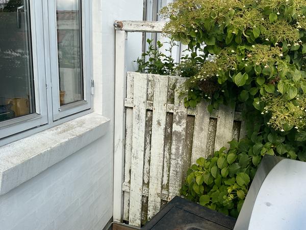Opførsel af oppudset mur