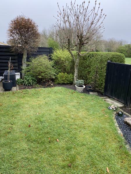 Fjernelse af mindre træer