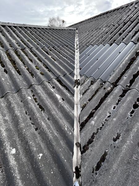 Udskiftning af fugeklodser og asbest tagplader