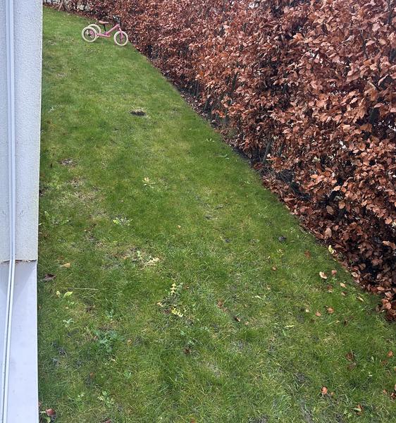 Renovering og udvidelse af træterrasse