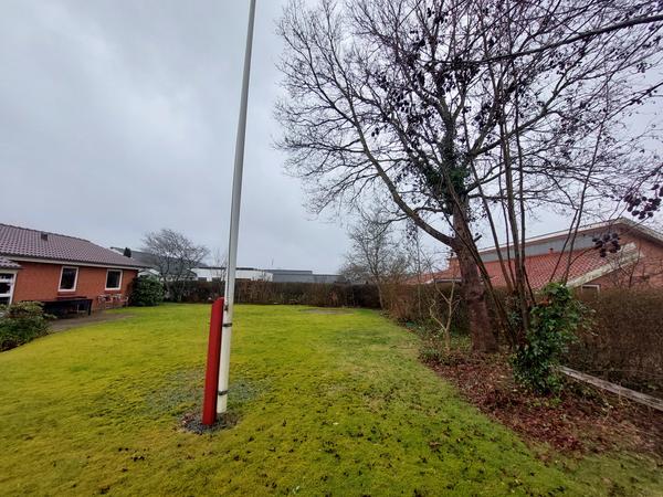 Fældning af egetræ