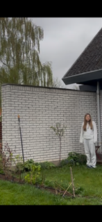 Fjernelse af murkrone med mistanke om asbest