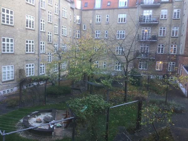 Boligforening - Fældning og beskæring af træer