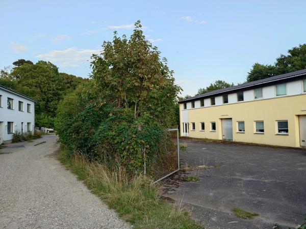 Rydning af bevoksning og anlæggelse af græsplæne