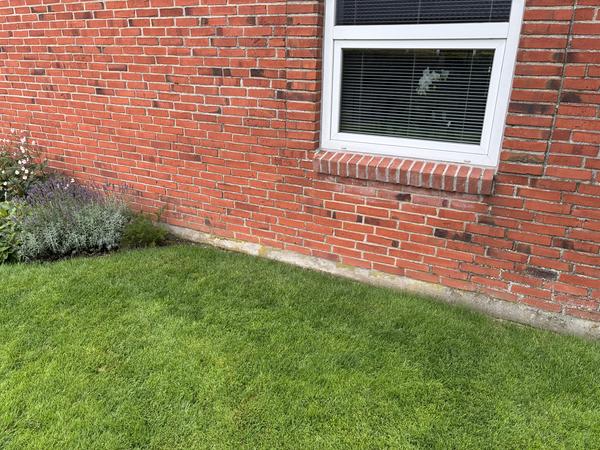 Reparation af fuger, mursten og sokkel