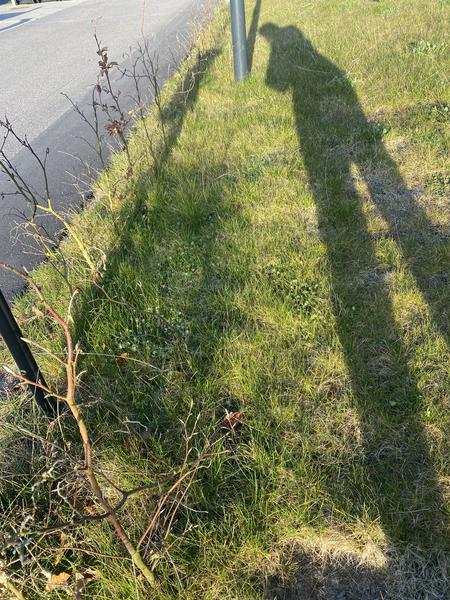 Udvidelse af indkørsel med fliser