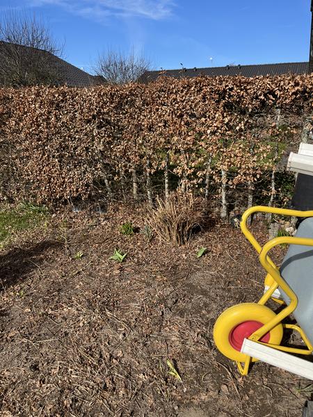 Lægning af fliseterresse