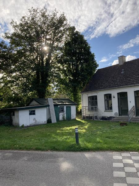Træfældning