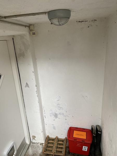 Facademaling og forbehandling