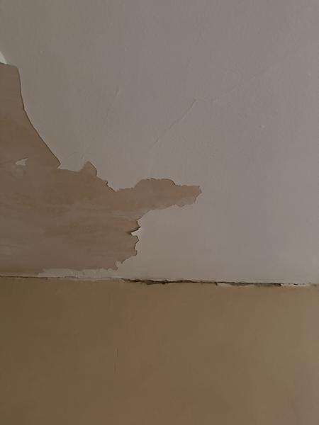 Spartling og maling af loft (22 m²)