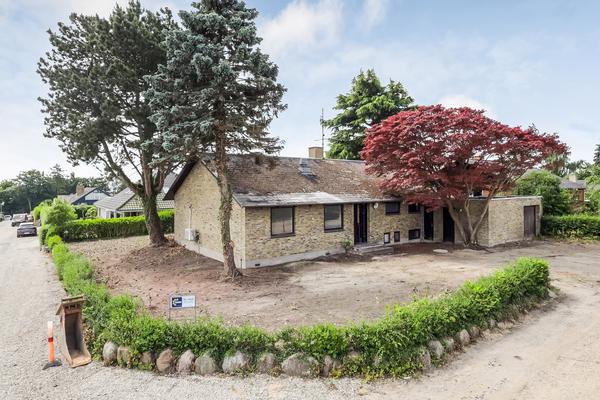 Fældning af nåletræer