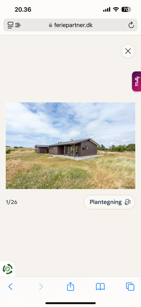 Udvendig maling af sommerhus og udehus