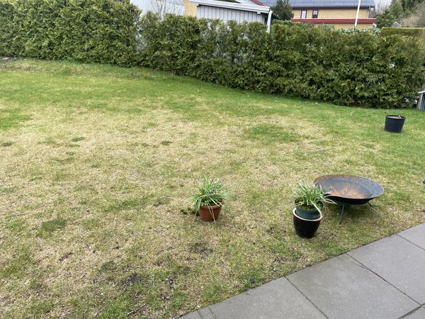 Fliselægning på græsareal