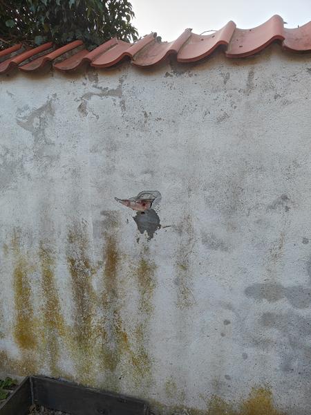 Efterseelse og reparation af mur