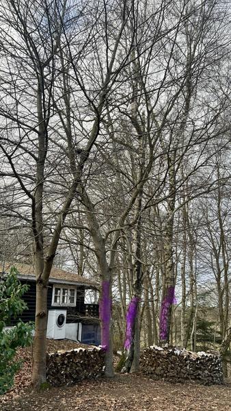 Fældning af 3 træer