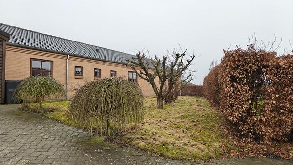 Omlægning af græsplæne til blomstereng