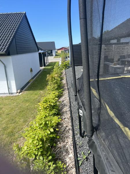 Opførelse af støttemur og lægning af fliser