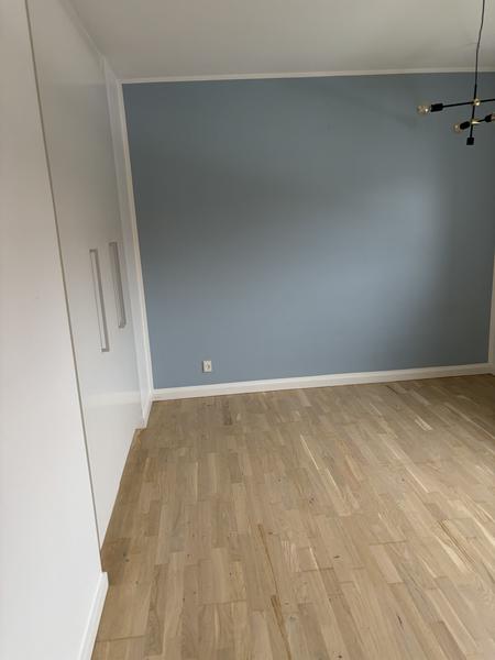 Maling af vægge, lofter, paneler og vindueskarme