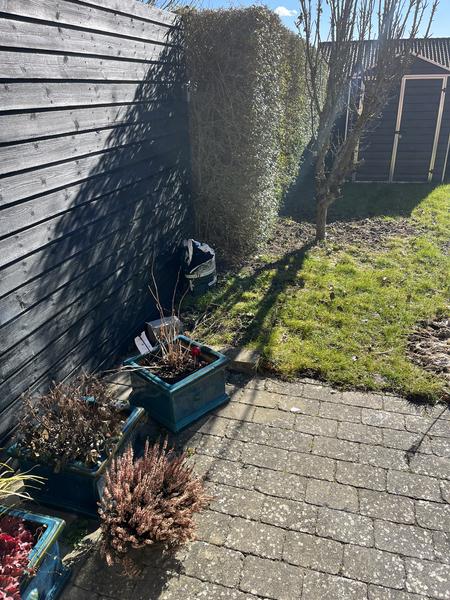 Etablering af træterrase