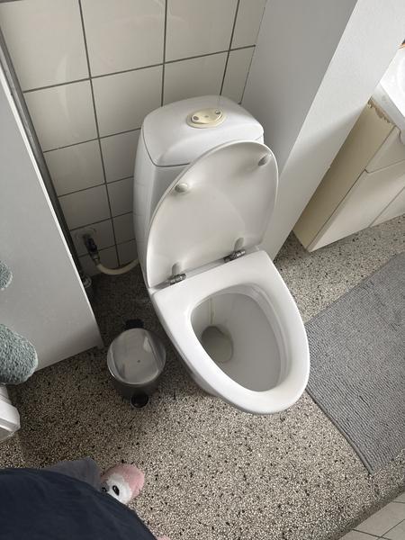 Udskiftning af toilet