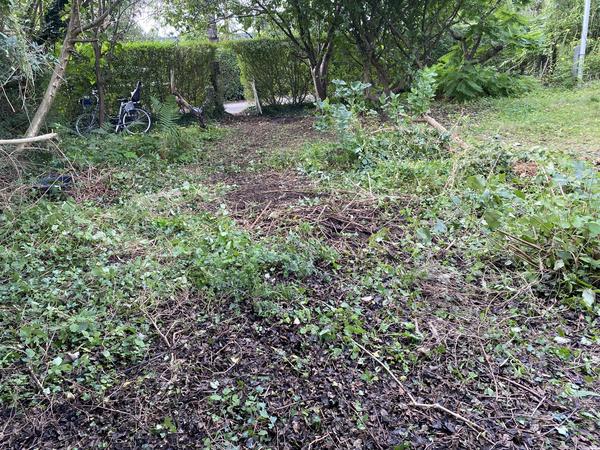 Planering og såning af græsplæne