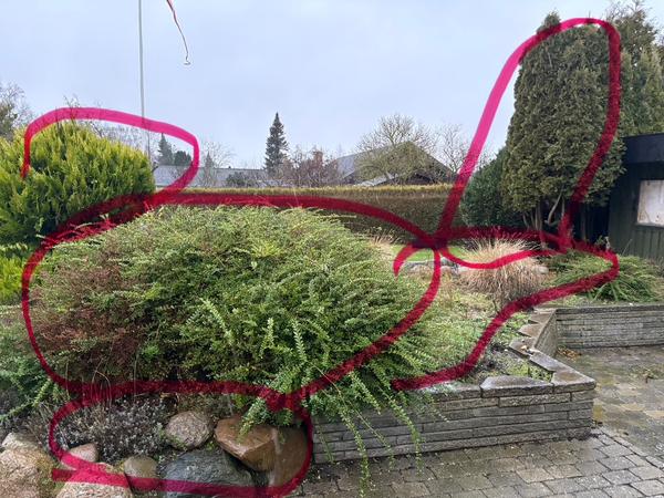 Fældning af træer m.m.