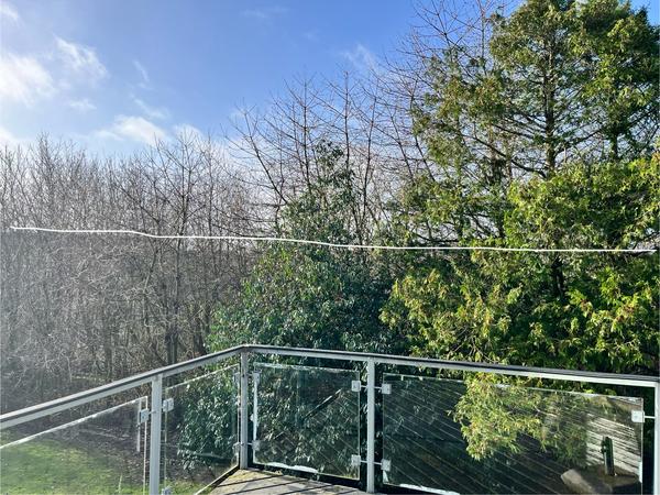 Beskæring af træer