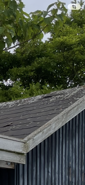 Fjernelse af skifferplader m. asbest på garage